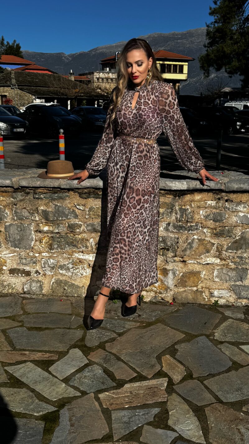 Wild Elegance Kaftan Dress with Lingerie - Image 5