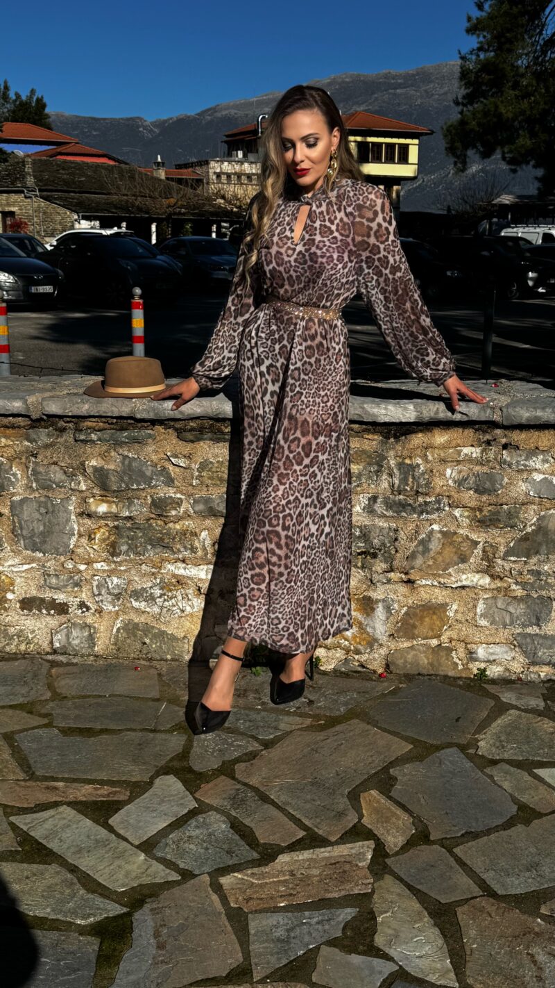 Wild Elegance Kaftan Dress with Lingerie - Image 6